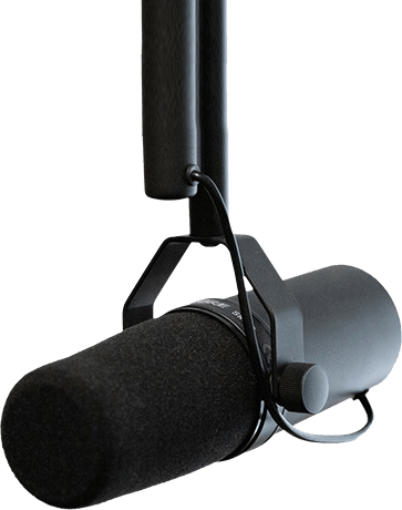 RASP — dekoracja mikrofon